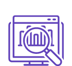 ICON PURPLE data auditing